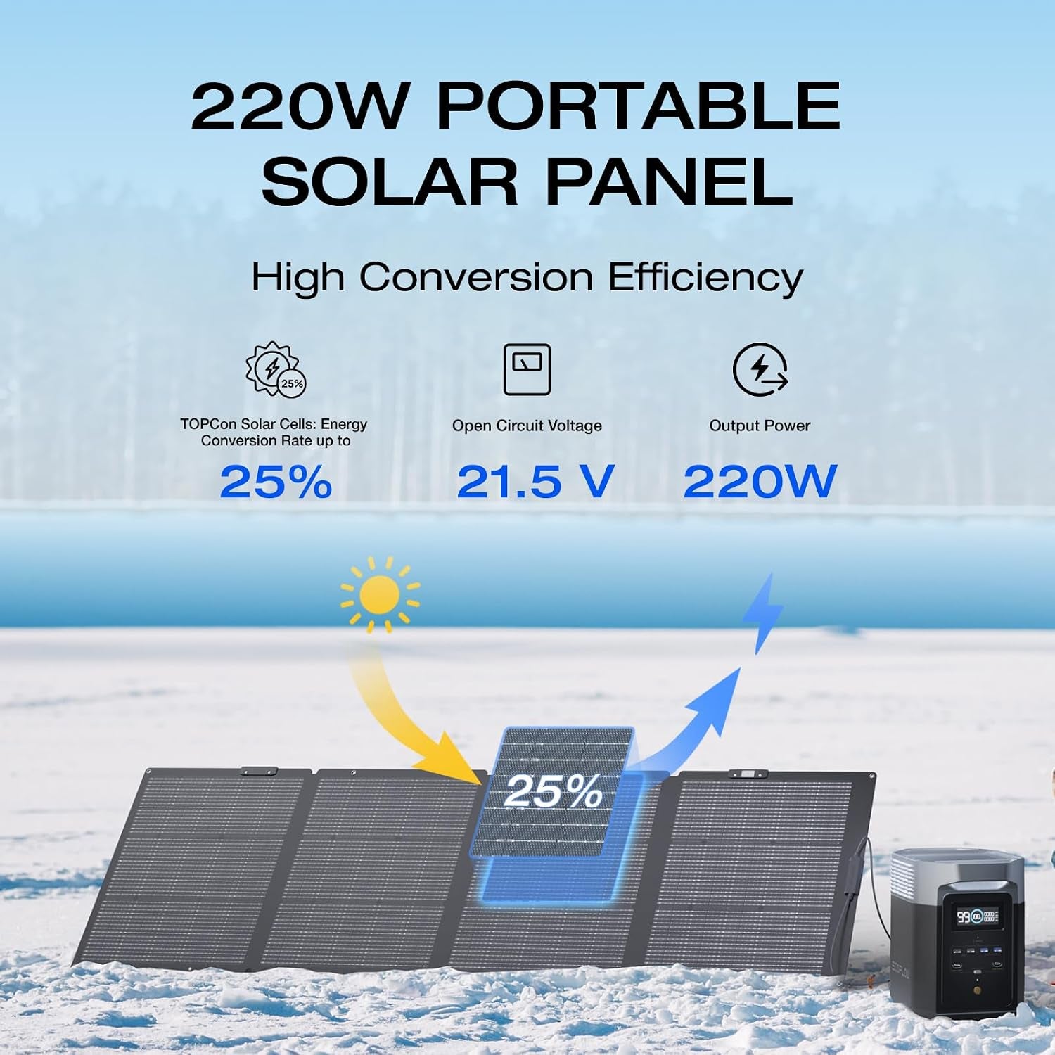EF ECOFLOW 220 Watt Portable Solar Panel, IP68 Waterproof | 25% High Conversion Efficiency N-Type Solar Cell, Nextgen Foldable Solar Panel with Adjustable Kickstand for Camping RV