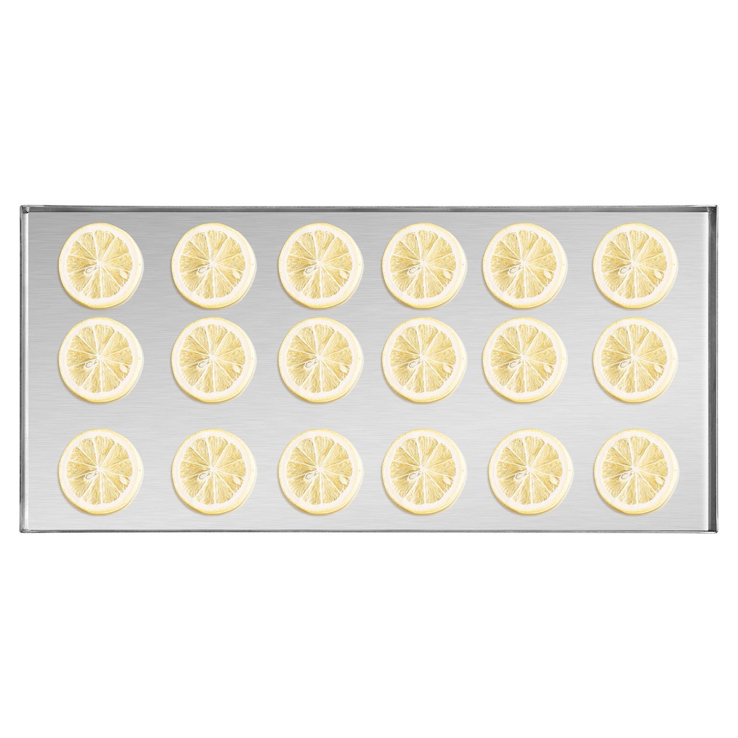 Vacuum Freeze Dryer 4-Layer Fruit Vegetable Freeze Drying Machine W/ Pump White