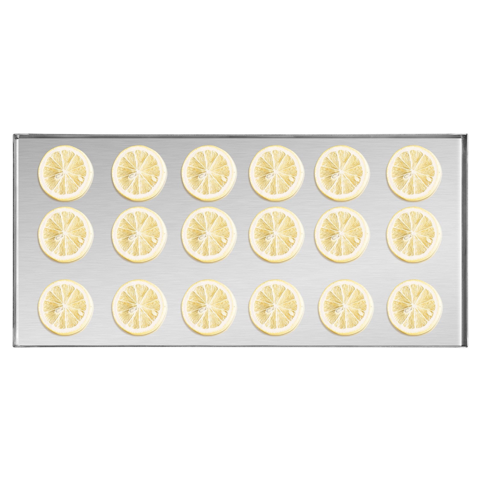 Vacuum Freeze Dryer 4-Layer Fruit Vegetable Freeze Drying Machine W/ Pump White