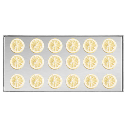 Vacuum Freeze Dryer 4-Layer Fruit Vegetable Freeze Drying Machine W/ Pump White