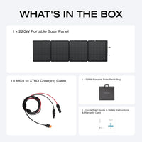 EF ECOFLOW 220 Watt Portable Solar Panel, IP68 Waterproof | 25% High Conversion Efficiency N-Type Solar Cell, Nextgen Foldable Solar Panel with Adjustable Kickstand for Camping RV