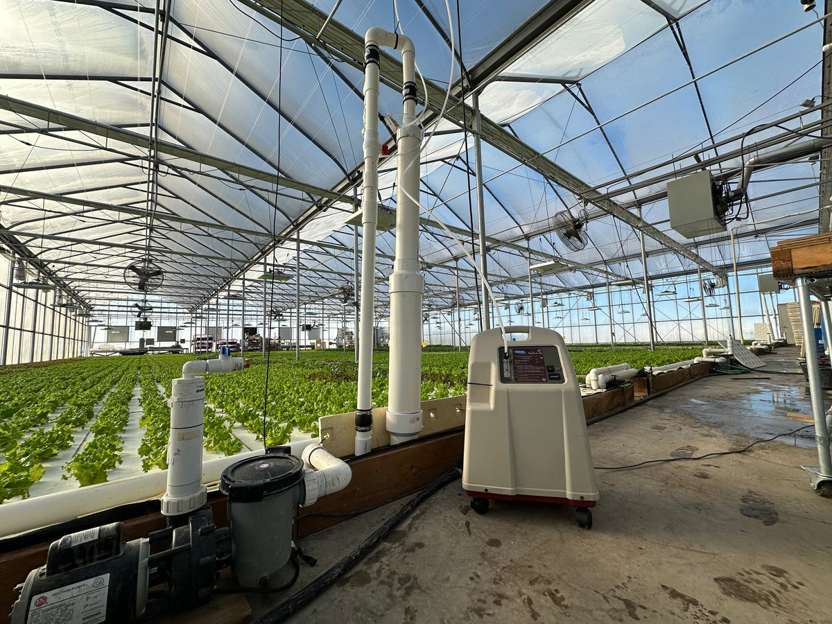 AirCone and oxygen concentrator running beside greenhouse grow beds