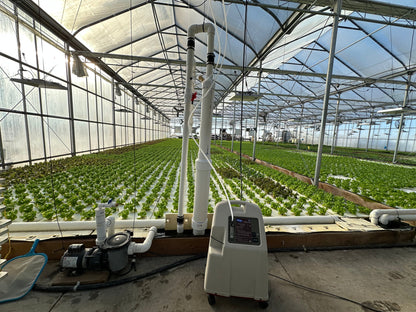 AirCone and oxygen concentrator bundle in a hydroponic greenhouse
