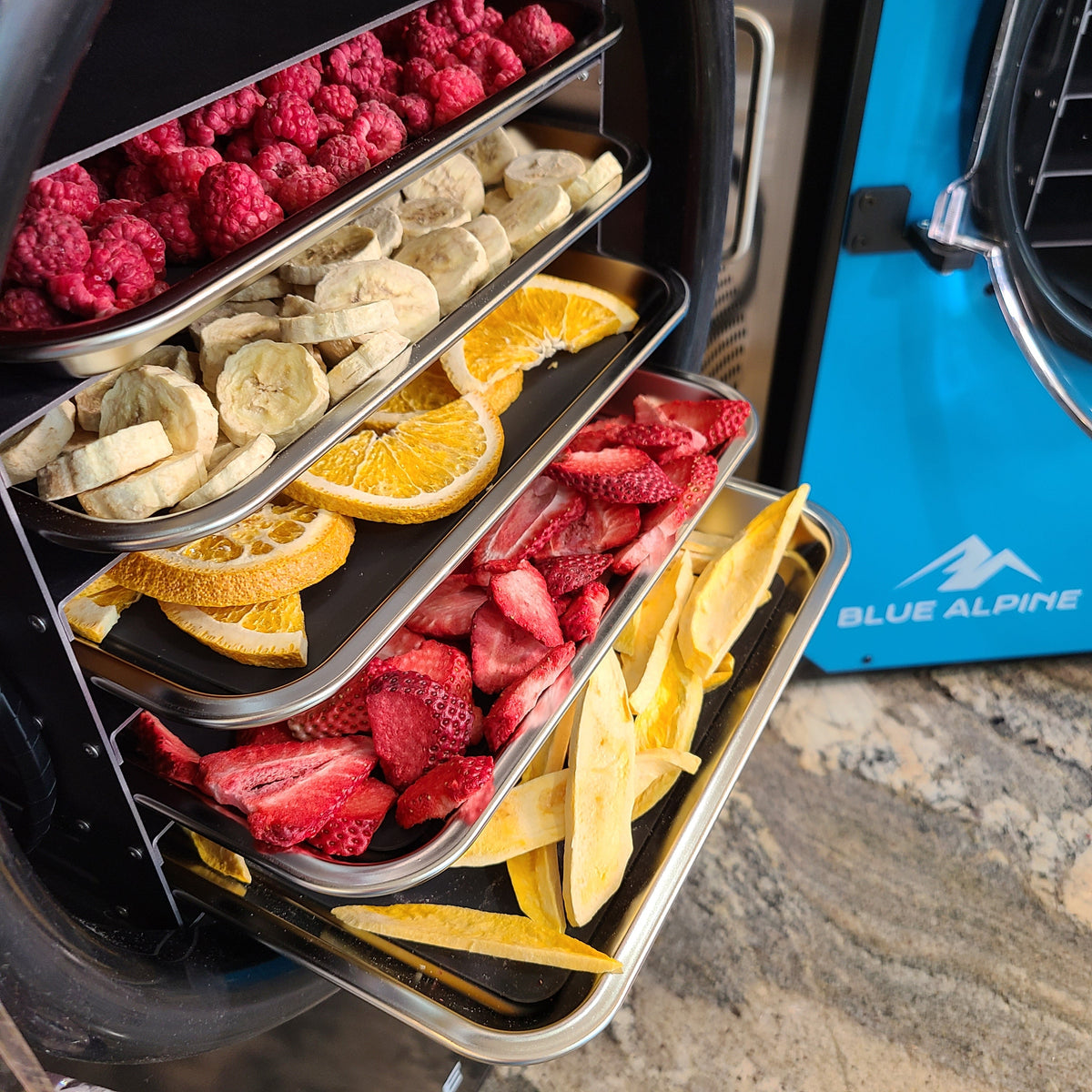 Blue Alpine Medium Elite trays loaded with freeze-dried fruit